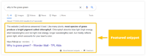 Google’s Featured Snippets